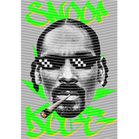 idol singer-GS  1312